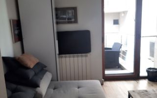 VANZARE VILA S+P+4E | ZONA AVIATORILOR | OPORTUNITATE - Poză 27