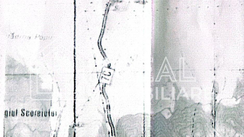 Teren intravilan 1.113 mp – deschidere la DN7C și Râul Bâlea – Cârțișoara - Poză 5