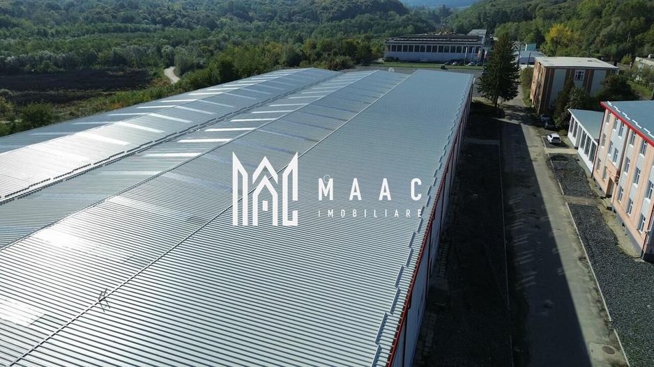 Hala producție I 6857 mp I Acces TIR I Pod Rulant I Mârșa - Poză 10