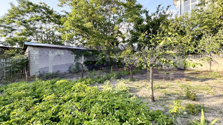 VANZARE TEREN 452 MP | CARPATI | SPITAL - Poză 6