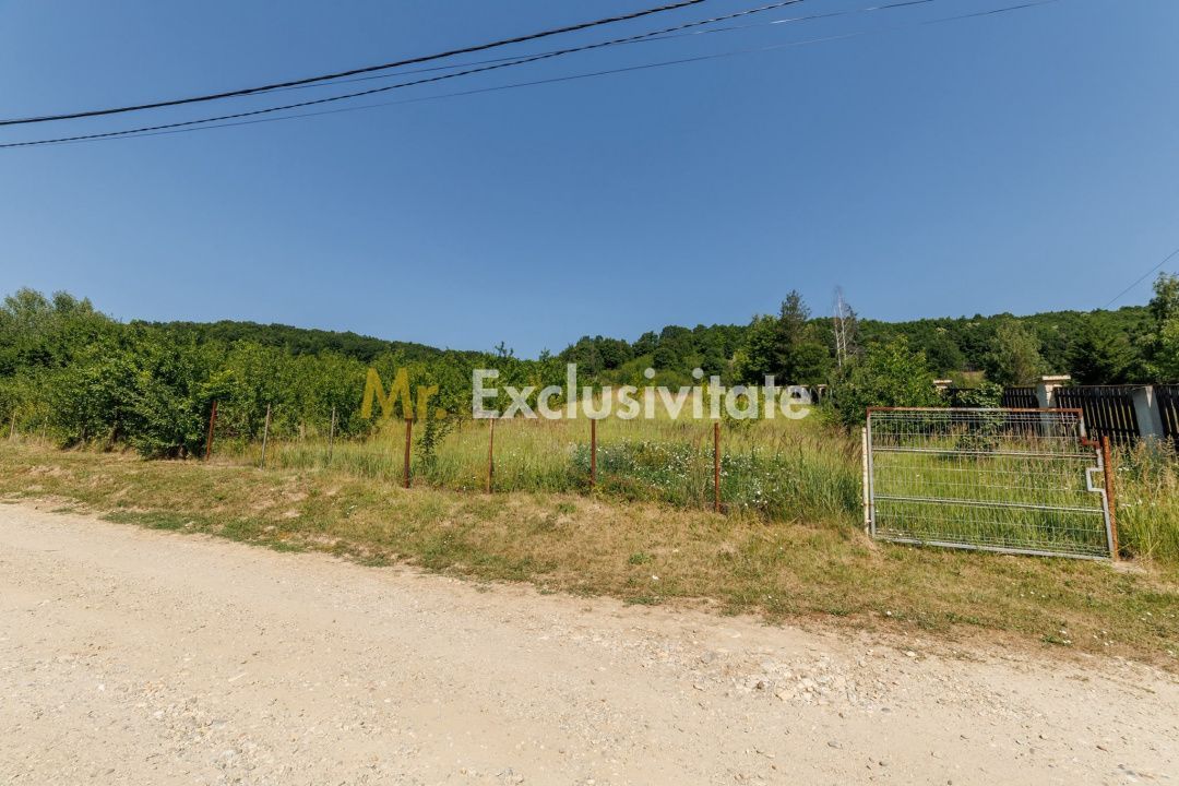 Teren intravilan Ștefănești Valea Mare Podgoria - Poză 1