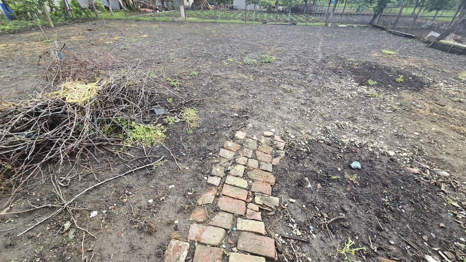 🏡 Casă renovată cu teren generos – Ciacova, Timiș, 800 mp teren - Poză 9