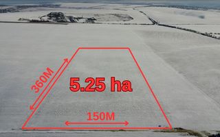 Teren Agricol 5.24 HA com. Cruzești mun. Chișinău - Poză 10