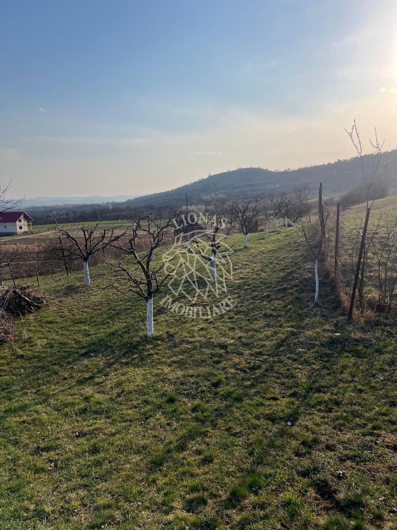 Teren 3100 mp-livada-ideal casa-Mititei - Poză 5