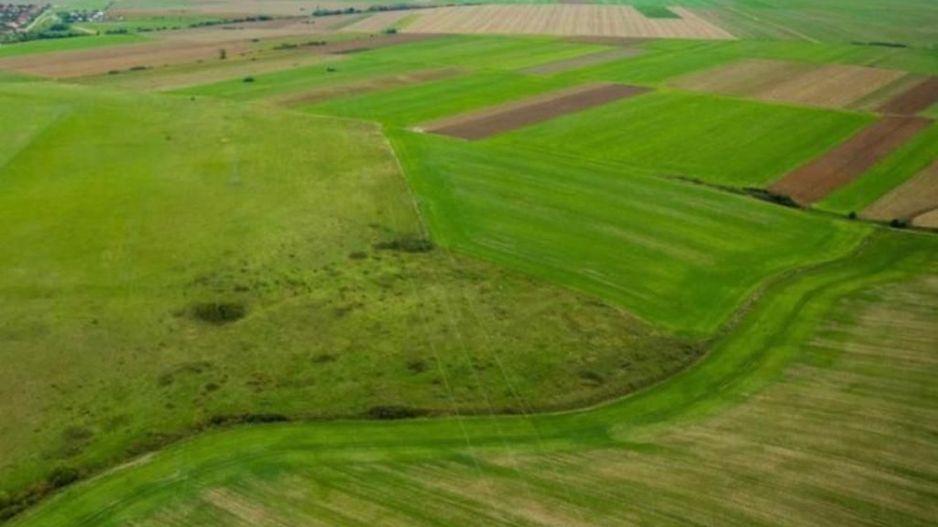 Teren agricol 5ha Giarmata langa Antena Radar - Poză 3