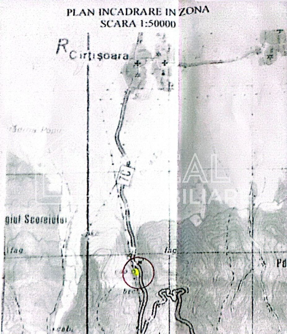 Teren intravilan 1.113 mp – deschidere la DN7C și Râul Bâlea – Cârțișoara - Poză 6