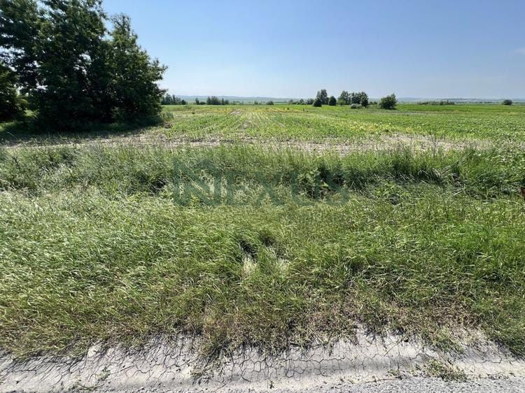 Teren de vânzare – 9.969 mp, Calea Romanului - Poză 5
