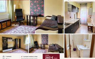 De inchiriat apartament cu o camera, parter, Mazepa 1, 260 euro - Poză 6