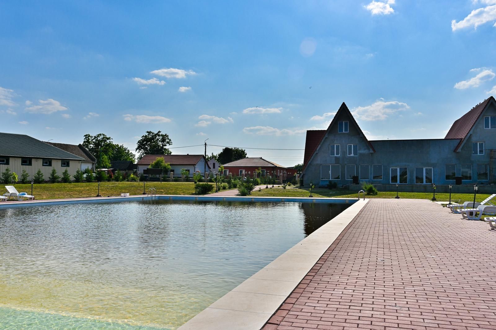 Sala de evenimente cu  piscina si foisor Biled COMISION 0 % CUMPARATOR - Poză 30