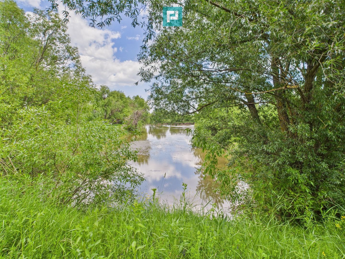 Teren cu baltă- oportunități multiple la Fibiș - Poză 13