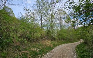 Teren intravilan 1454 mp la marginea padurii zona locuita de case! - Poză 14