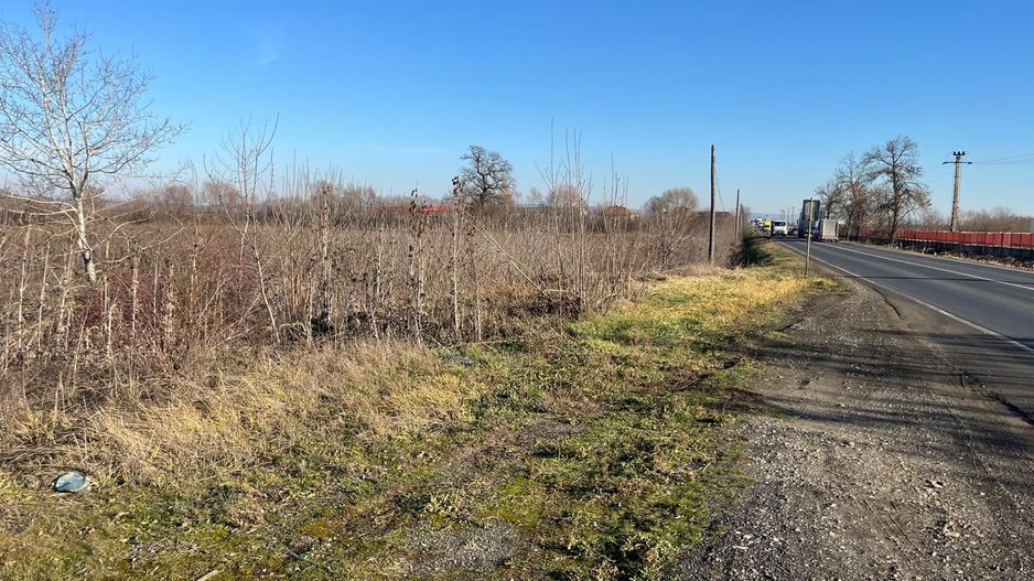 Teren intravilan, Săcădat, 27 921 mp. 9,5 Euro/mp. Comision 0. - Poză 9