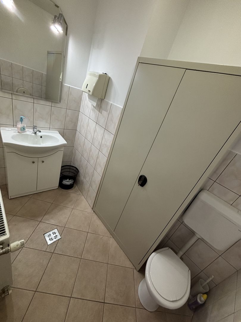 Hală,birourii/depozitare în zona Lugojului - Poză 3