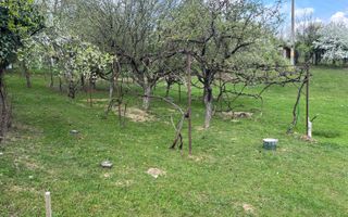 Teren | Intravilan | 855 MP - Poză 8