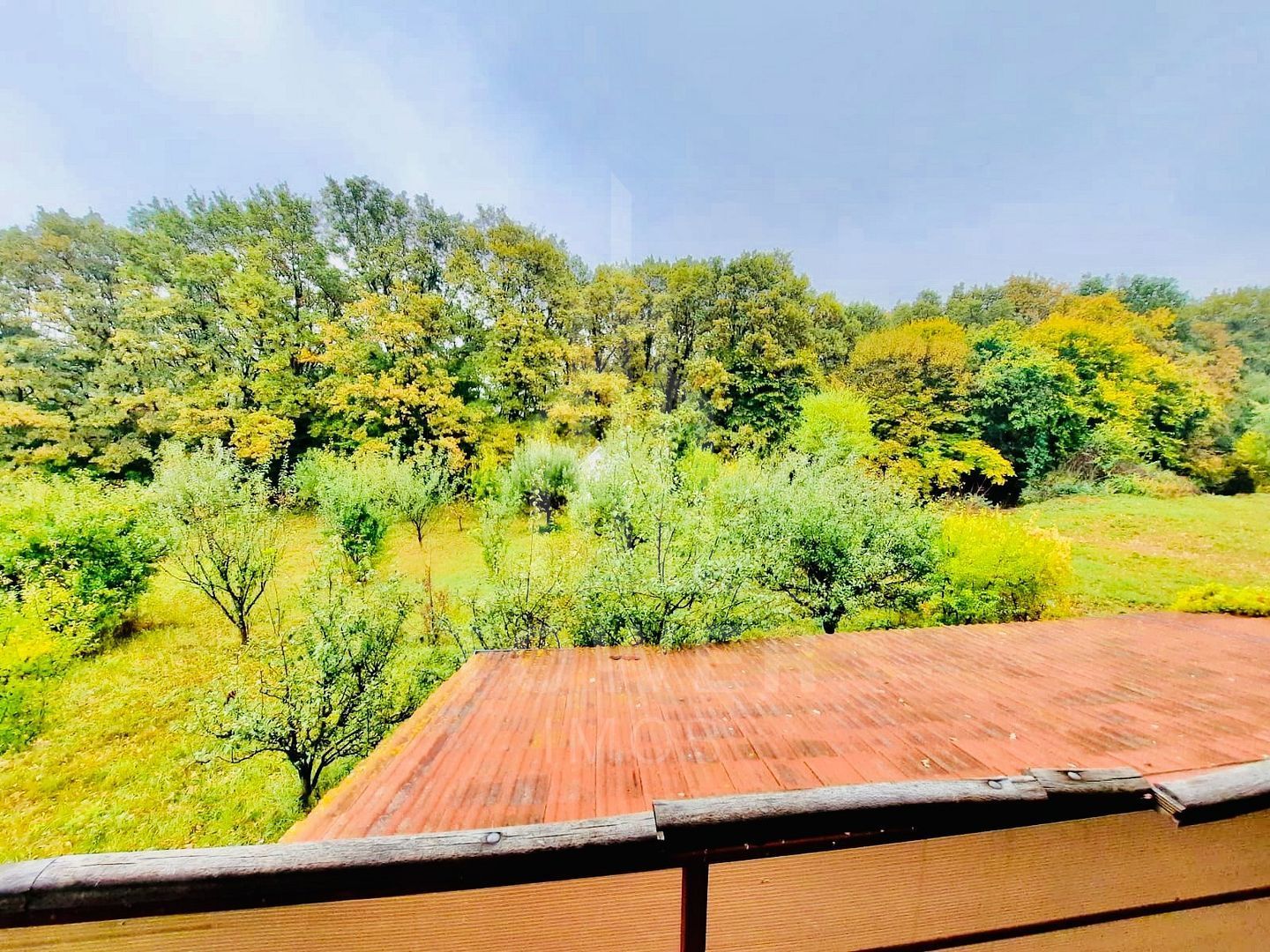 Casă de vacanță | Șura Mare - Poză 10