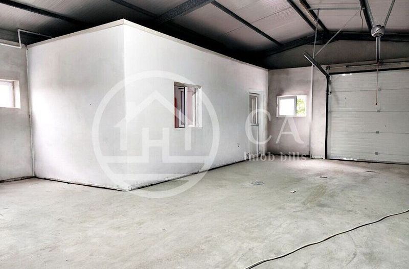 Hala de inchiriat, situata in Santaul Mic, Bihor - Poză 6