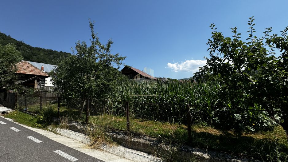 CASA 3 CAMERE, TEREN 1069 MP, COMUNA STOENESTI, ARGES - Poză 35