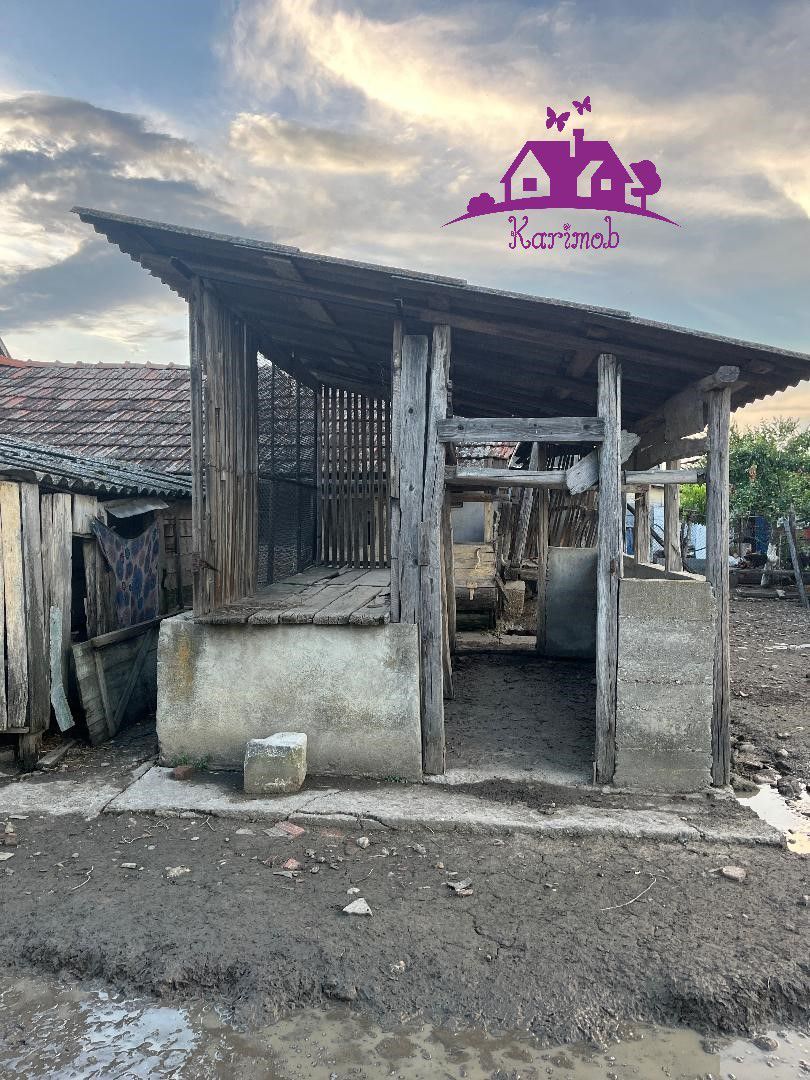 Casa în localitatea Ianosda - Poză 10