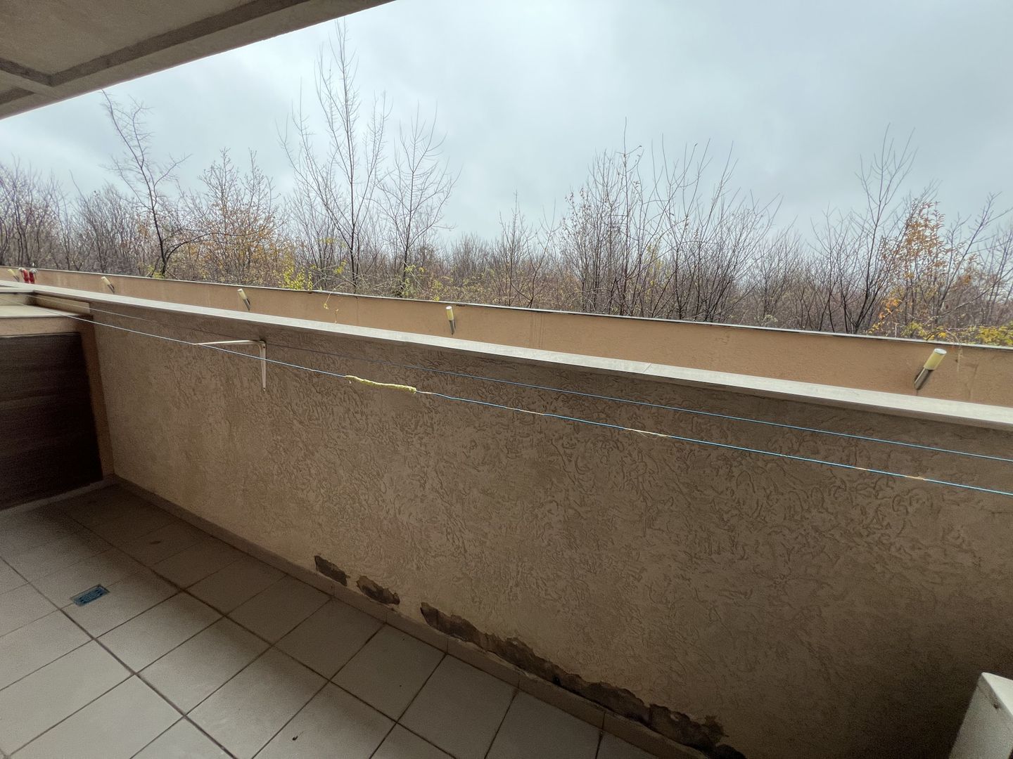 Un refugiu luminos în inima verde a Iancu Nicolae - Poză 8