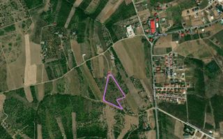 Teren intravilan Paleu la intrare - Poză 1