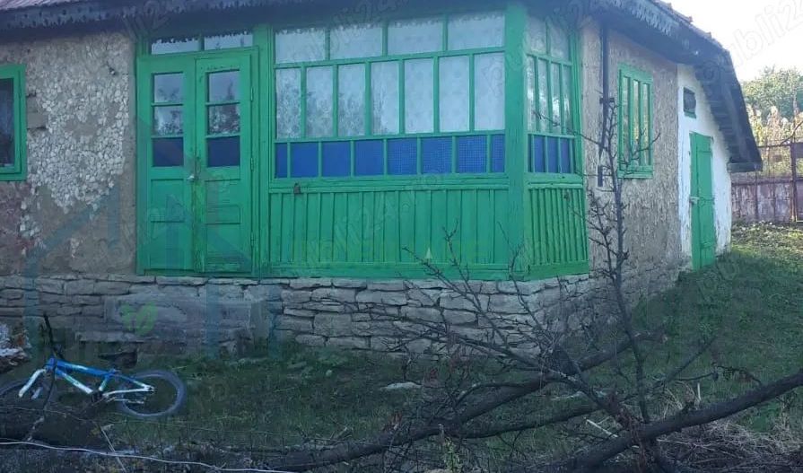 SUPER OFERTĂ: 5000 mp,gaze,canalizare, curent jud Iasi Loc. Ceplenita - Poză 4