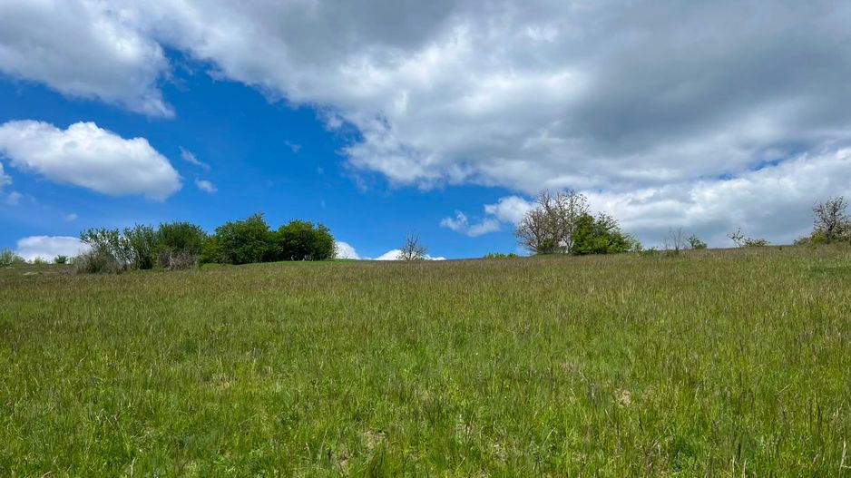 TEREN INTRAVILAN DE VÂNZARE – 3.610 MP | VIILE SIBIULUI | INVESTIȚIE - Poză 2