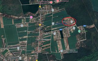 Balotesti- Dumbraveni- Padure - Poză 1