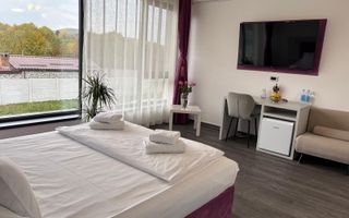 Pensiune 10 Camere | 700Mp | Valea Avrigului | Teren 4600Mp - Poză 7