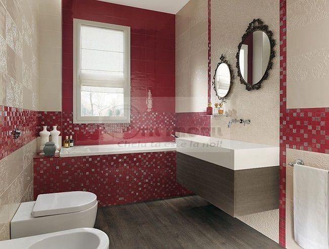 AP 1 CAM GUG VISOIANU LUNCA CETATUII DECOMANDAT - Poză 3