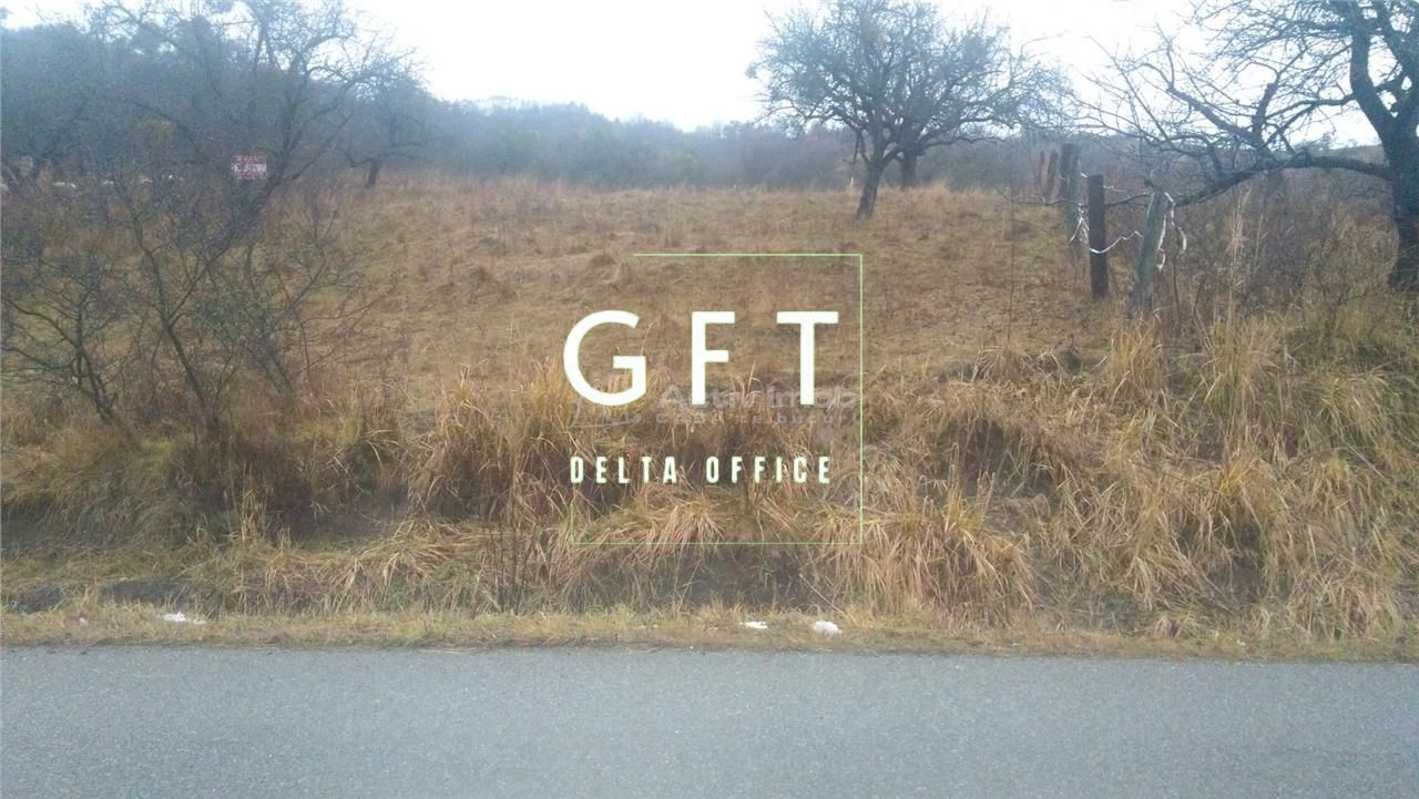 Teren de 1300 mp extravilan- limita intravilan- UNIREA- investitie/cabana - Poză 3