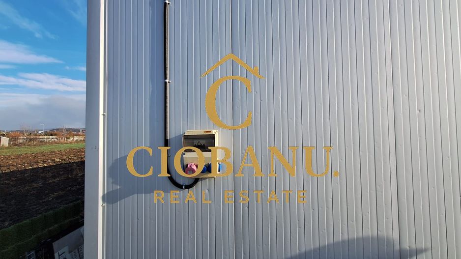 Hala de vanzare in Racarii de Jos - Poză 15