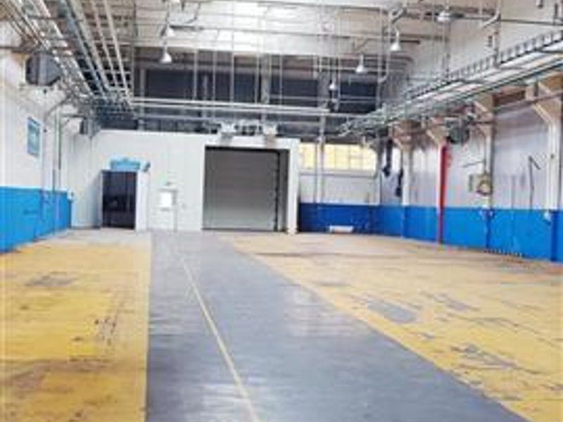 hale in parcul Roman sau tractorul - Poză 2