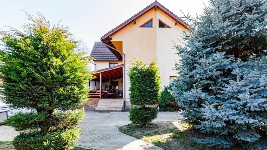 Casa deosebita cu teren de sport in zona semi centrala in Lugoj - Poză 9