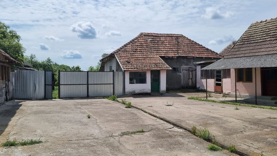 Casă 6 camere, livadă, 3 199 mp, Girisul Negru, Bihor. 42 000 E - Poză 24