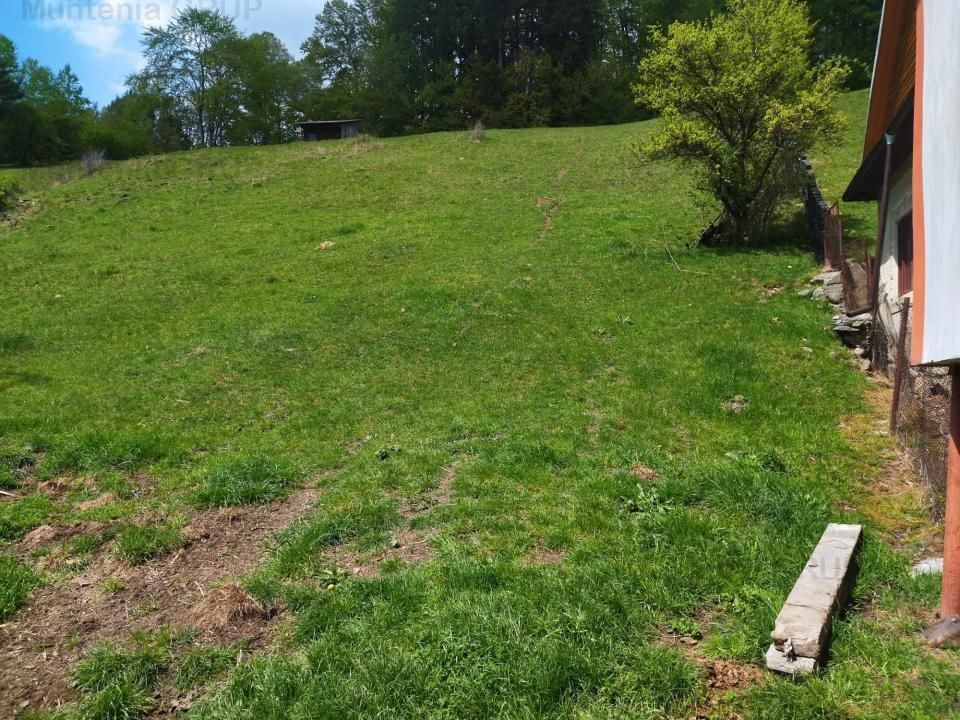 NAMAESTI - Valea Mare Pravat, 7000 mp. teren intravilan, ideal locuinta - Poză 6