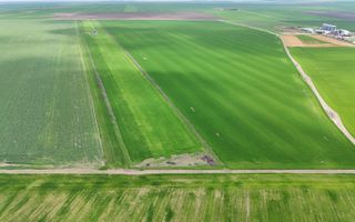Teren de vanzare in Săcele ideal pentru silozuri, fermă 6 ha - Poză 7
