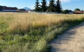 Teren 14400 mp la iesire din Rasnov inspre Pârâul Rece-Trei Brazi - Poză 12