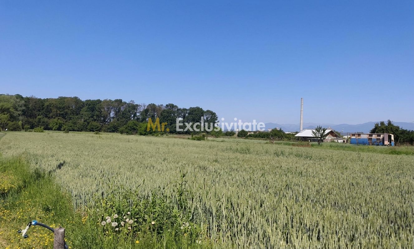 Teren 10.294 mp de vânzare Târgu Jiu | Intravilan + Extravilan | Utilități - Poză 2