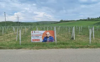 Teren intravilan cu PLANTATIE DE GOJII de vanzare in Racari - Poză 27