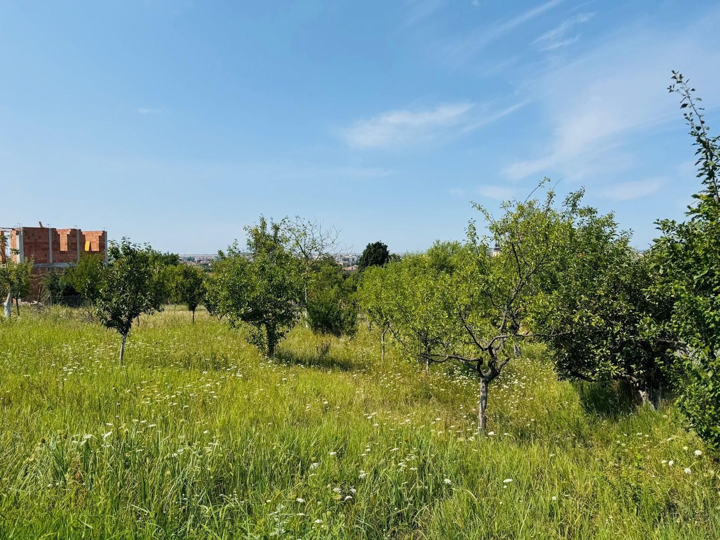 Teren intravilan cu toate utilitatile zona Garii - Poză 3