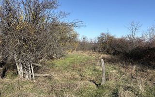 Teren langa padure, liniste, aer curat la 11 km de Pitesti - Poză 2