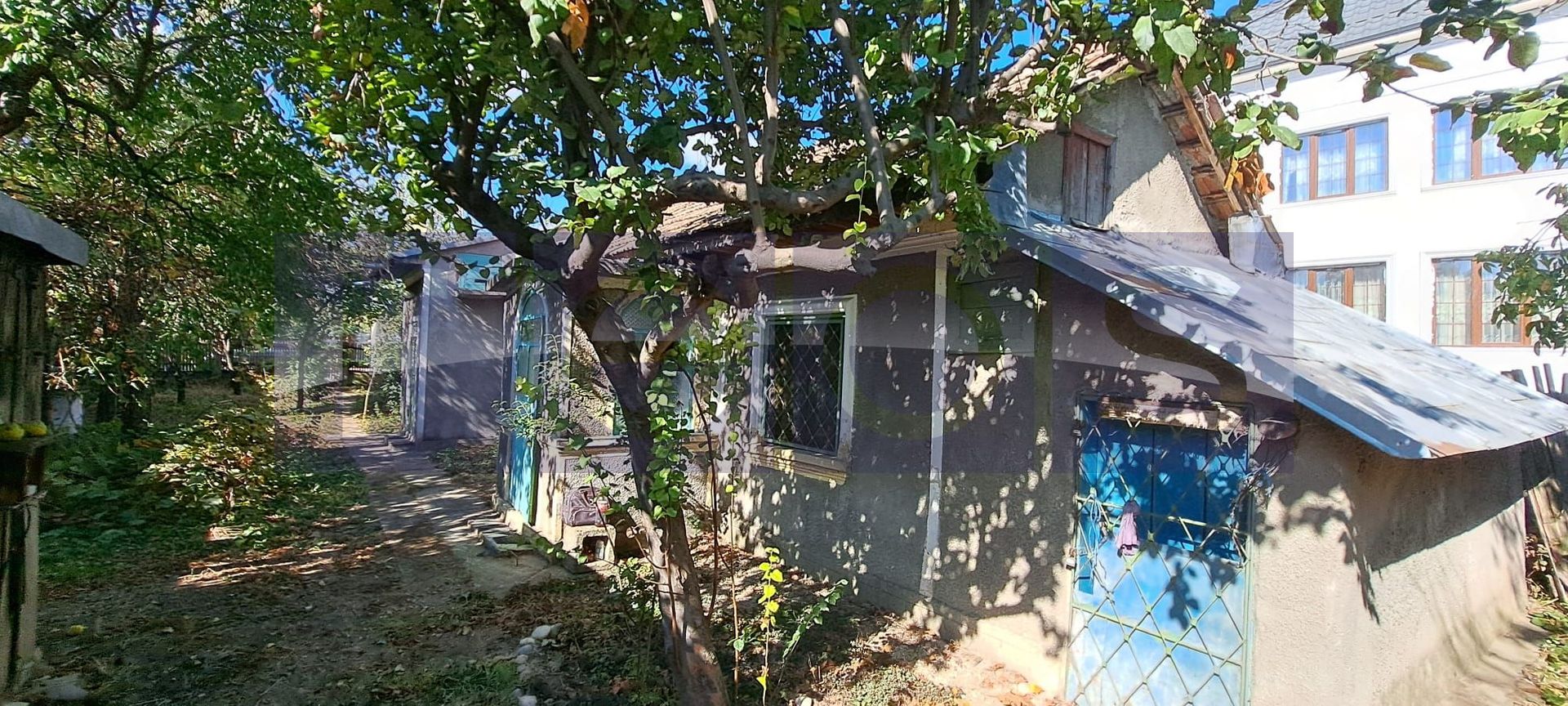 CASA DE VANZARE | ROSIORI DE VEDE | 90 MP | 3 CAMERE | 350 MP TEREN - Poză 4