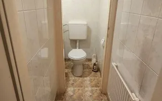 Casă boierească cu teren 900 mp – Calea Poplăcii, Sibiu - Poză 23