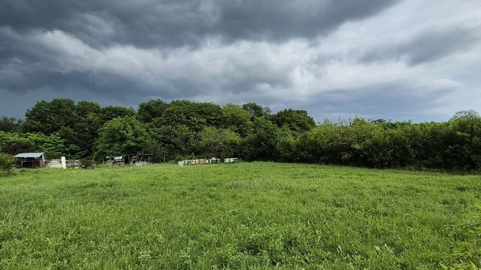 Teren intravilan langa pădure 1260 mp , deschidere 20 ml Prahova -Misl - Poză 3