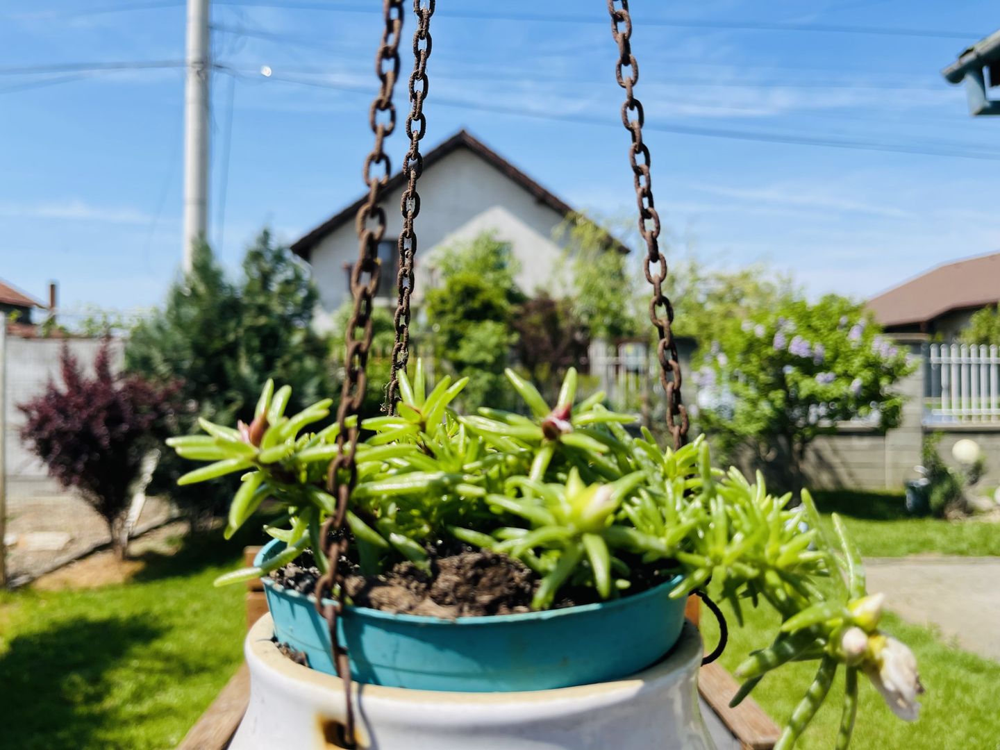 OFERTA VANDUTA - Casa Sacalaz - curte superba | 180 mp, 5 camere - Poză 15