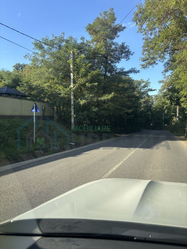 Teren pădure 3650 mp cu deschidere 42 m la Șos. Bârnova, ideal investiție pe termen mediu și lung - Poză 3