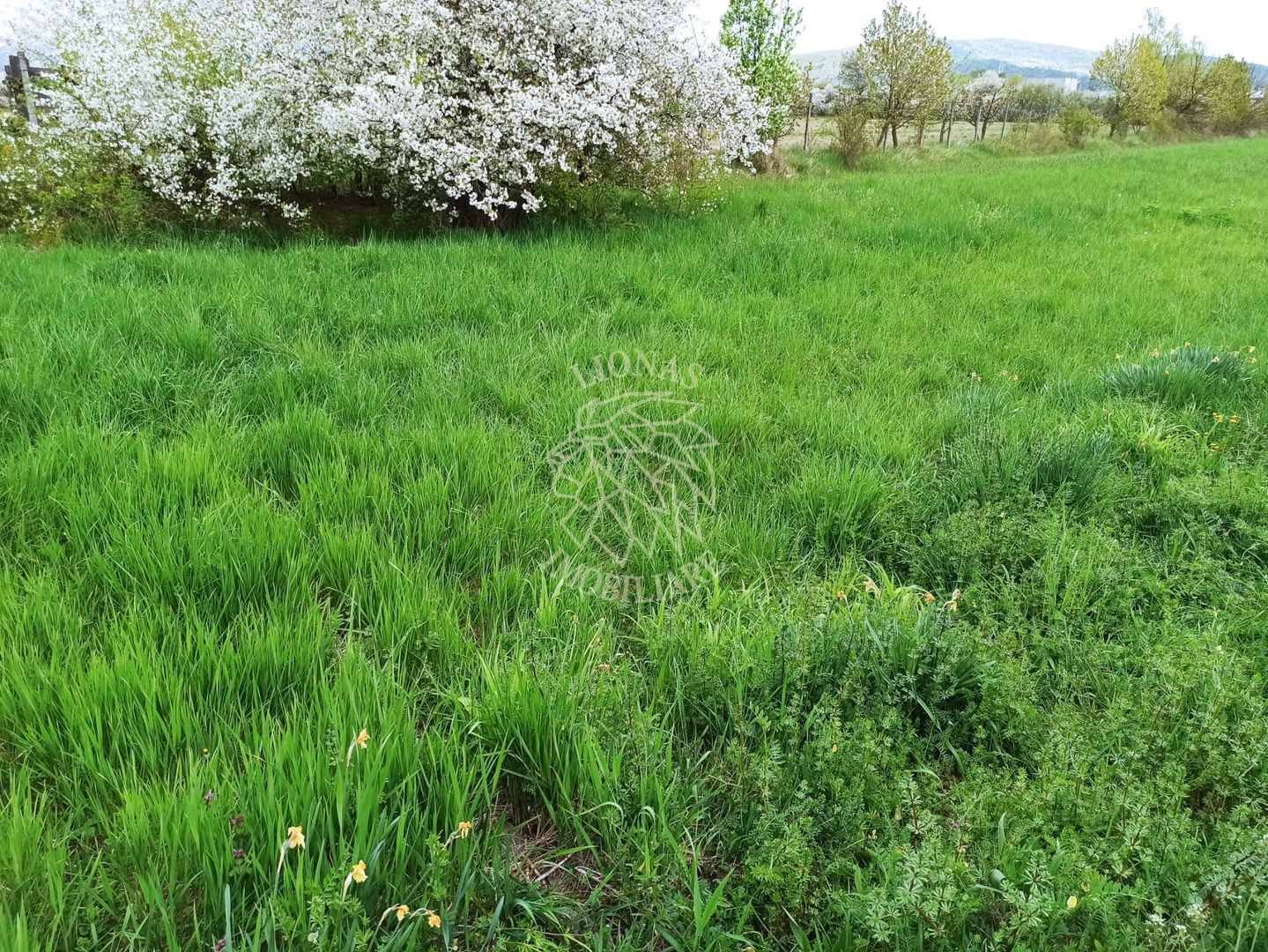 Teren intravilan 2515 mp cu utilitati- Zona Valea Castailor - Poză 3