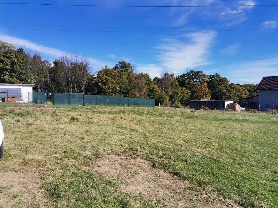 Vanzare teren intravilan, Smeura - Poză 7