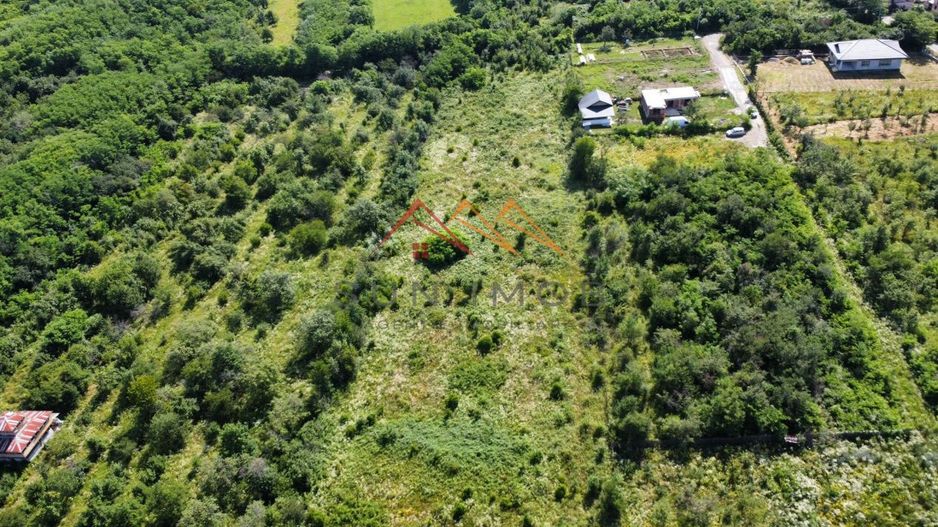 Teren intravilan 20280 mp, oportunitate investitie, Gageni, Prahova - Poză 2