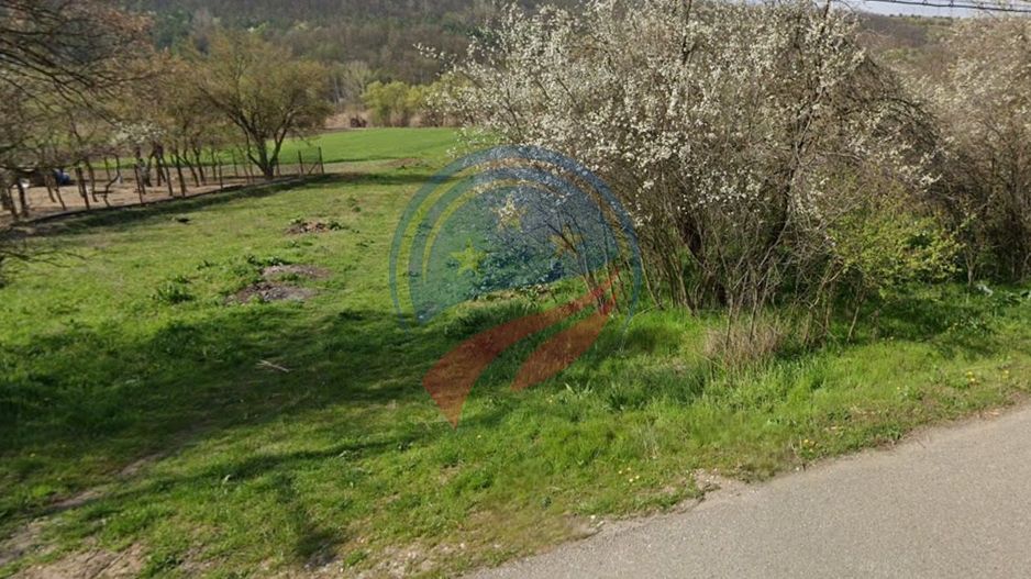 TEREN DE VANZARE IN BRADESTII BATRANI  -4300 mp intravilan - Poză 1